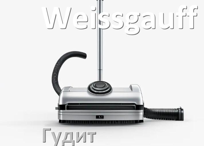 
Почему пылесос Weissgauff сильно гудит и шумит что делать