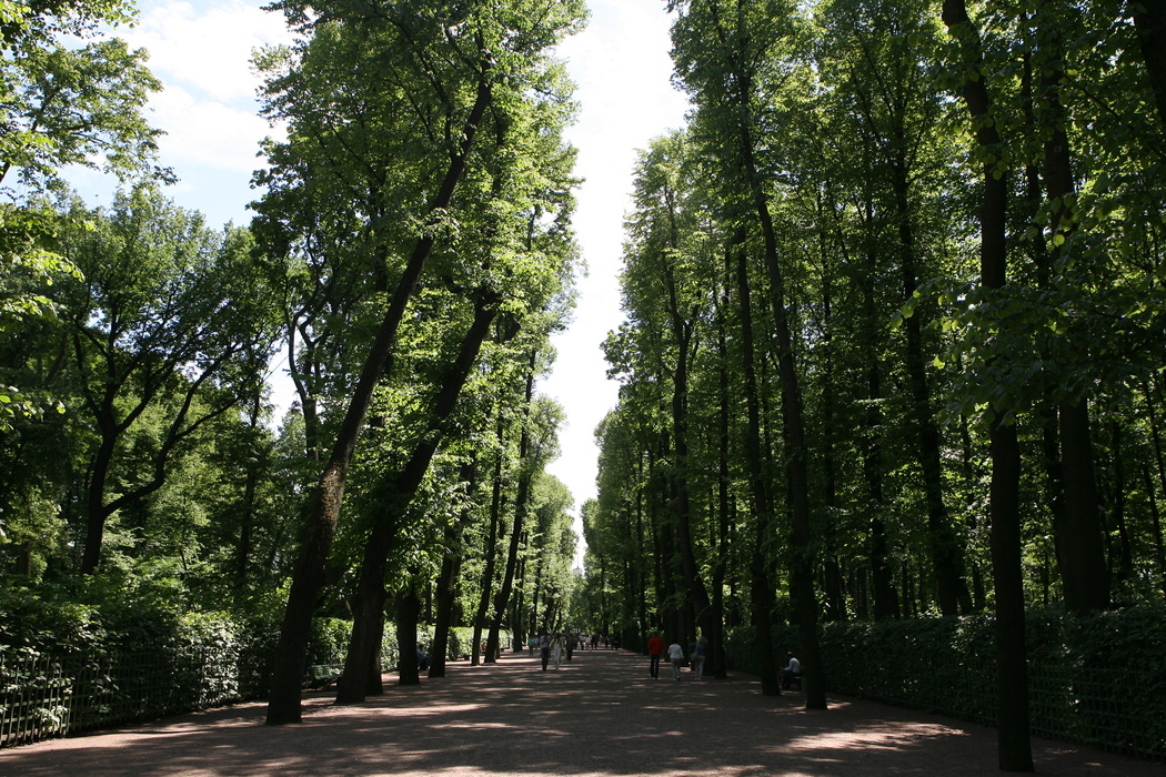    Фото: Baltphoto/Рафаэль Карапетян