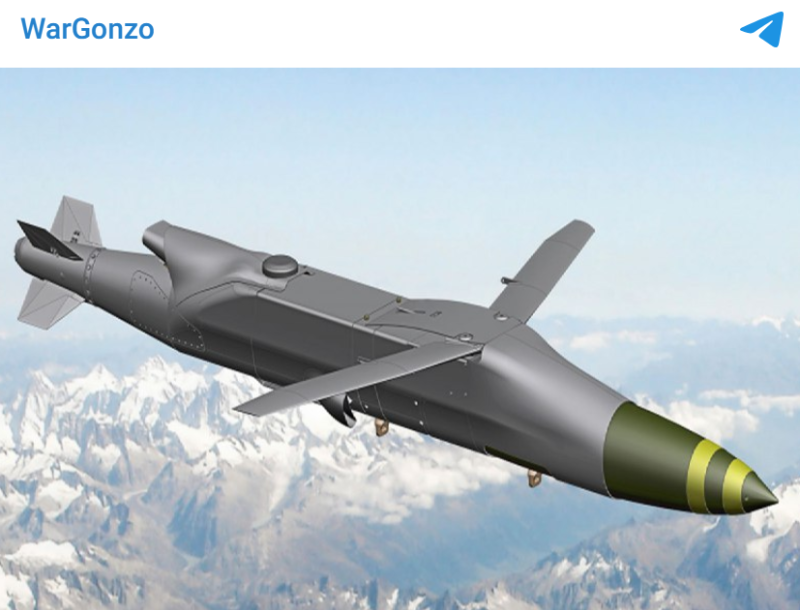    Скриншот:Telegram/WarGonzo