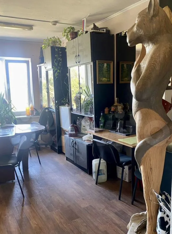    Дом рядом с собором в Петрозаводске продают за 26 млн рублейАвито