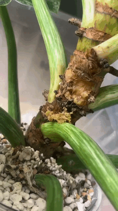 Картина была удручающей