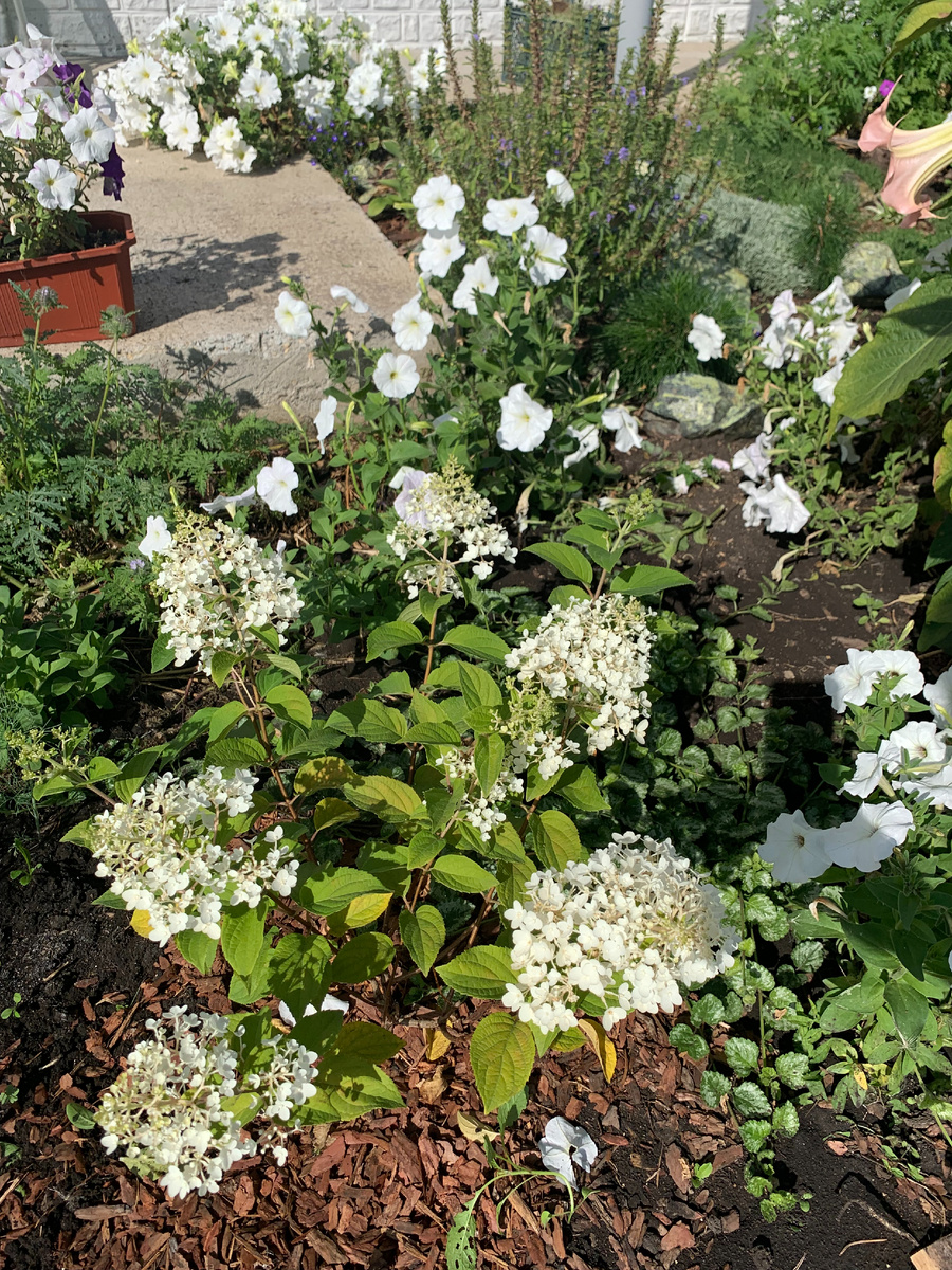 сентябрь 2022