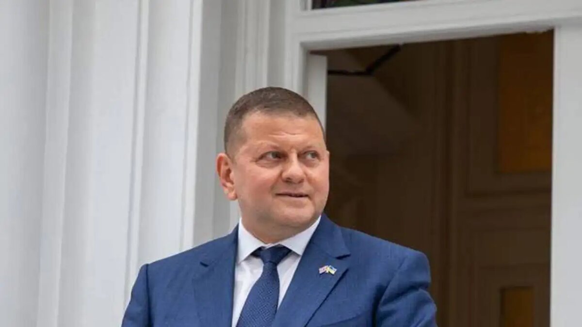    Валерий Залужный