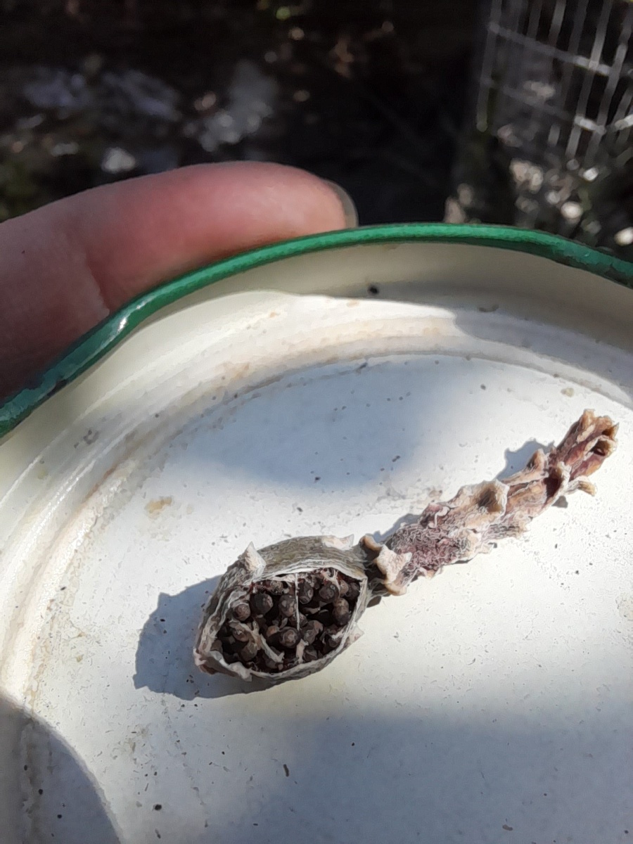 Вовремя успела!