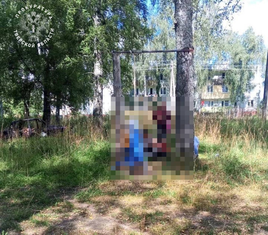 В Тверской области, катаясь на самодельных качелях, погиб ребенок