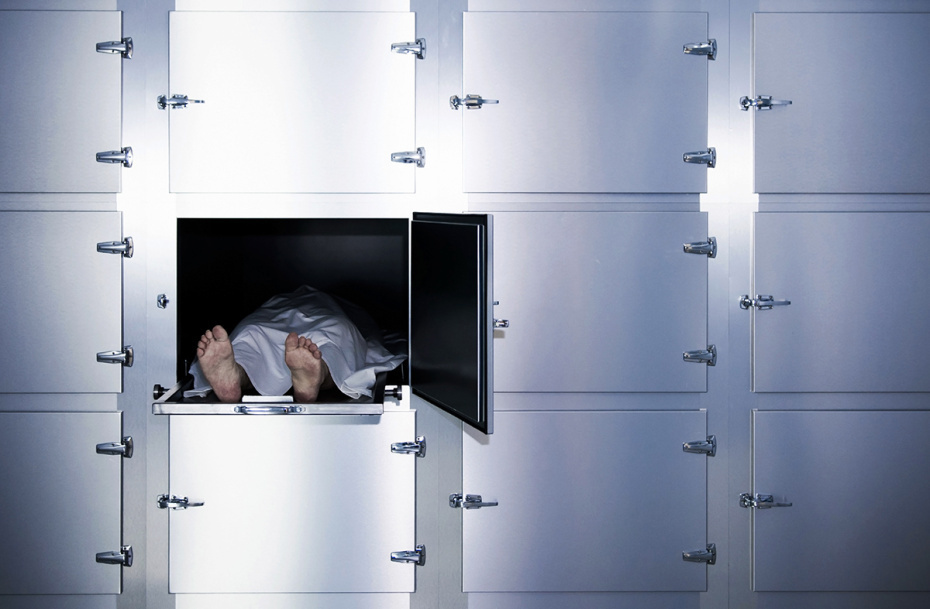    Shutterstock/FOTODOM