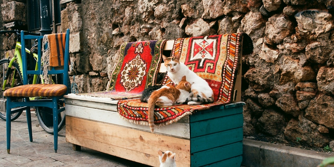 Живу в Турции много лет. Мои советы российским туристам, кто приезжают сюда на отдых