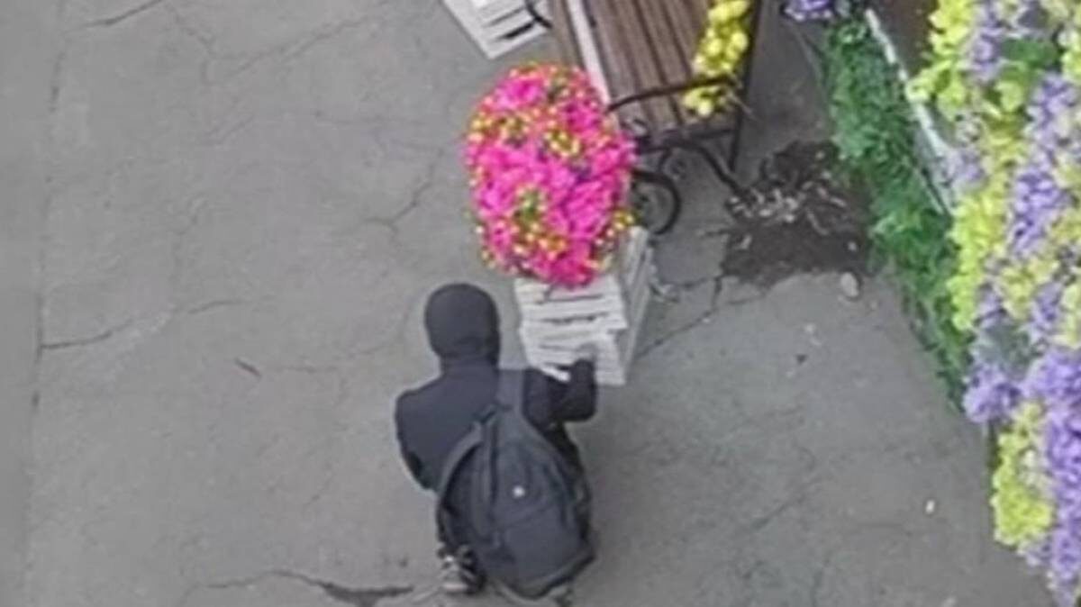    Фото: Скрин: Пресс-служба ГУ МВД России по Москве