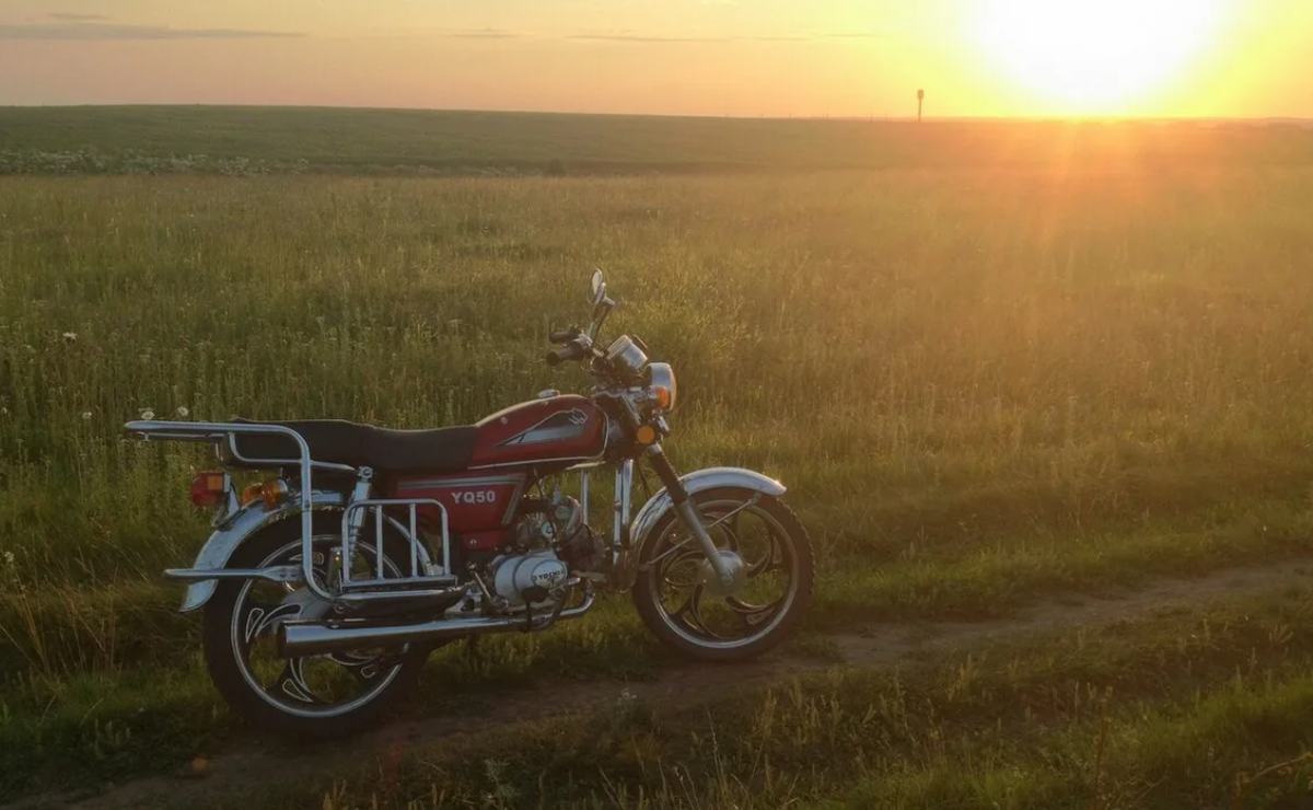 Яндекс картинки