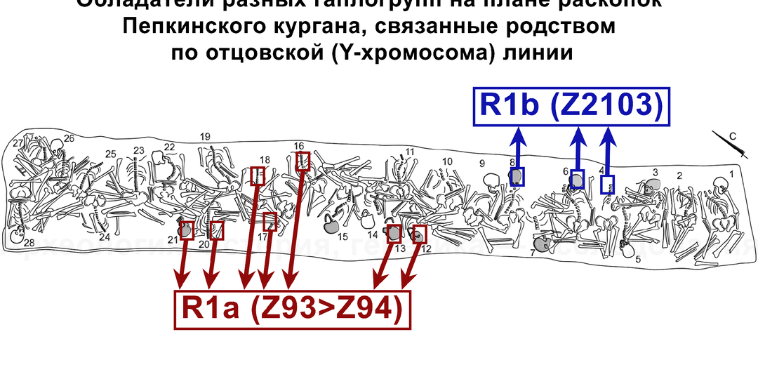 Русская равнина с неолита до мезолита надежно оберегалась нашими предками от чужаков?