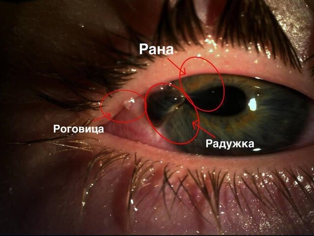    Фото: министерство здравоохранения Московской области/