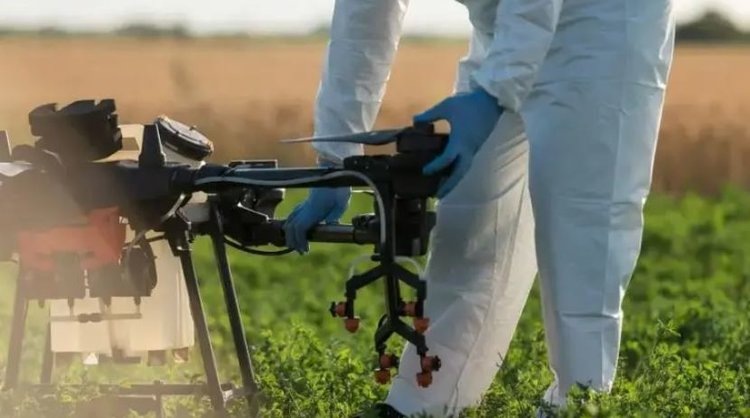    Фото: AgriBrasilis