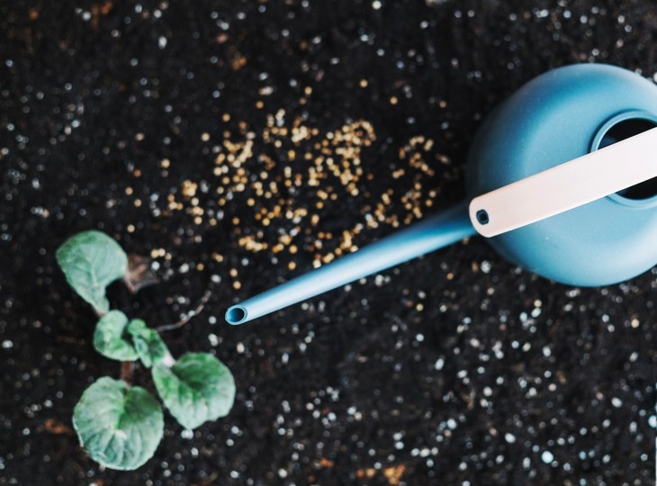 Как восстановить плодородие почвы после уборки урожая