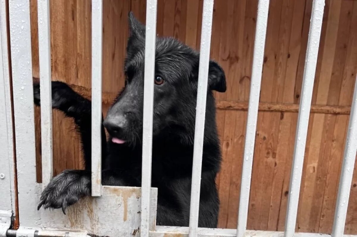    На обновление и возведение объектов ГУФСИН НСО истратят более 3 млрд рублей