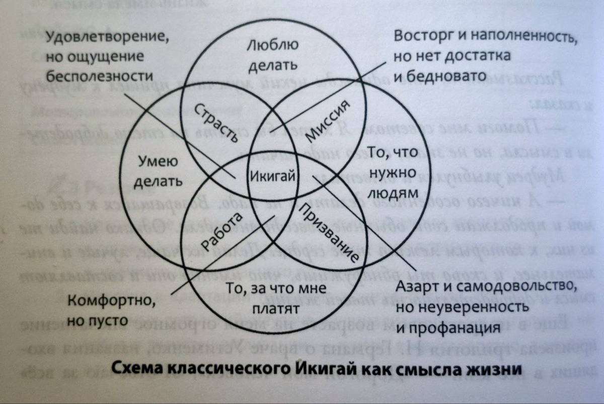 ИКИГАЙ в смыслах жизни.  Расширенный вариант.