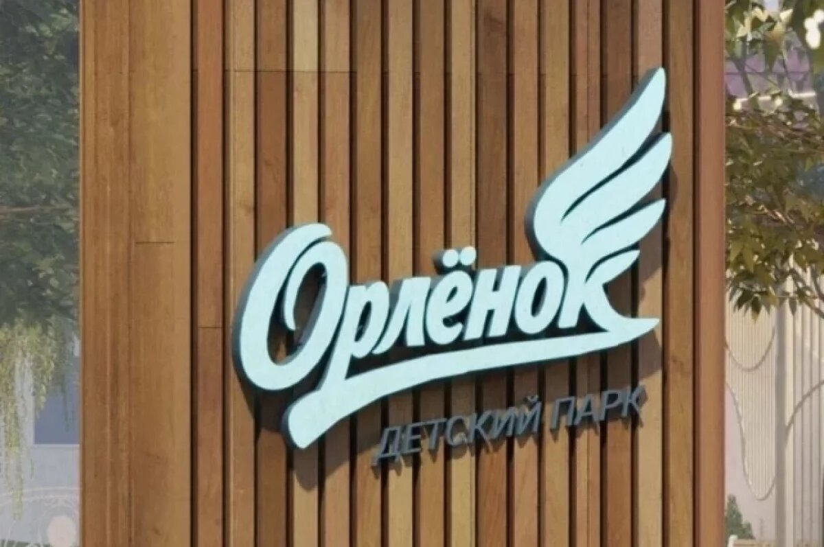    В Ряжске Рязанской области появится долгожданный детский парк «Орлёнок»