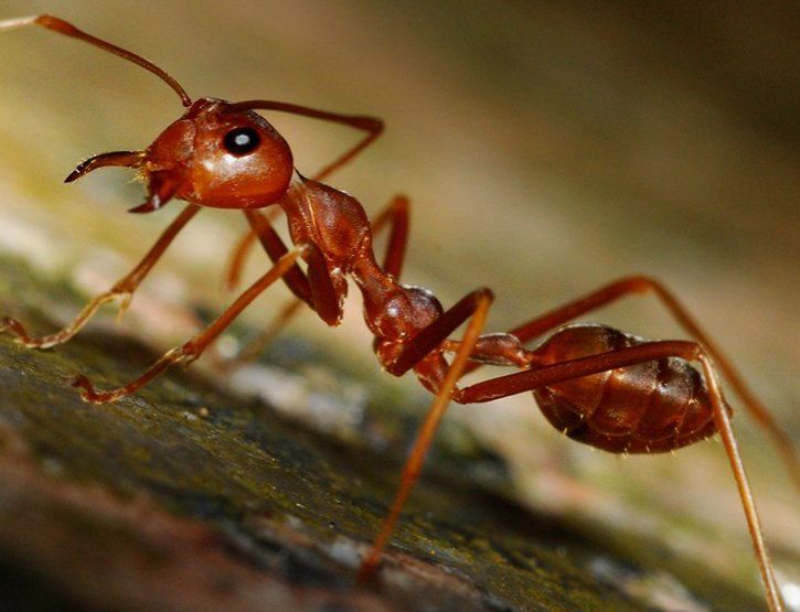 Поставь лайк!