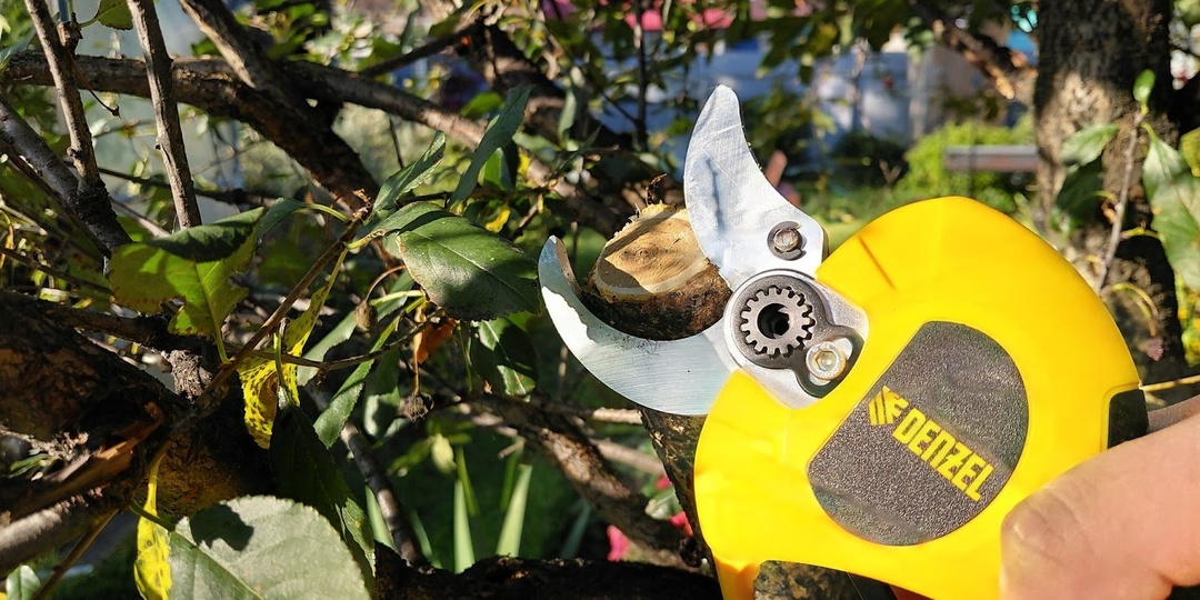 Обзор бесщеточного аккумуляторного секатора DENZEL CP40BL