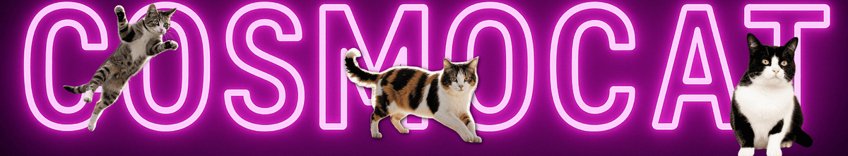 Кошкам тоже иногда нужен переход