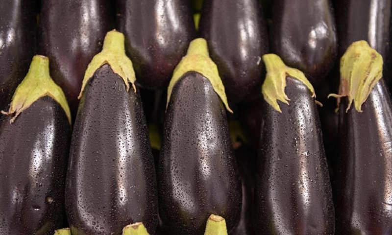 Баклажаны с ароматом шашлыка: отличная закуска на всю зиму