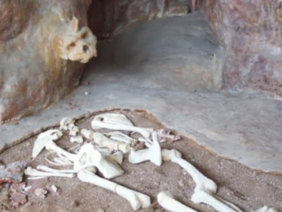 Уникальная находка была сделана в 1960 году в греческой пещере Петралона.