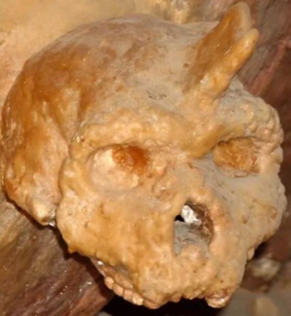 Череп хранится в специальном музее при пещере Петралона.