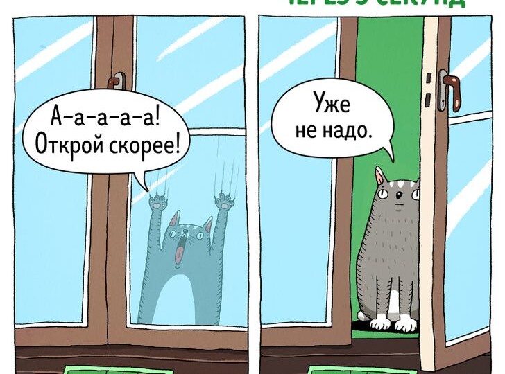 19 смешных карикатур про котиков | Новые истории, юмор в стиле "мяу" и полезные советы