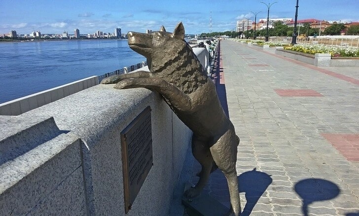 Фото из интернета 