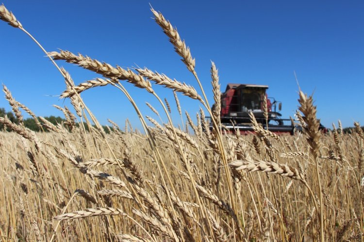    Фото: Минсельхоз Алтайского края