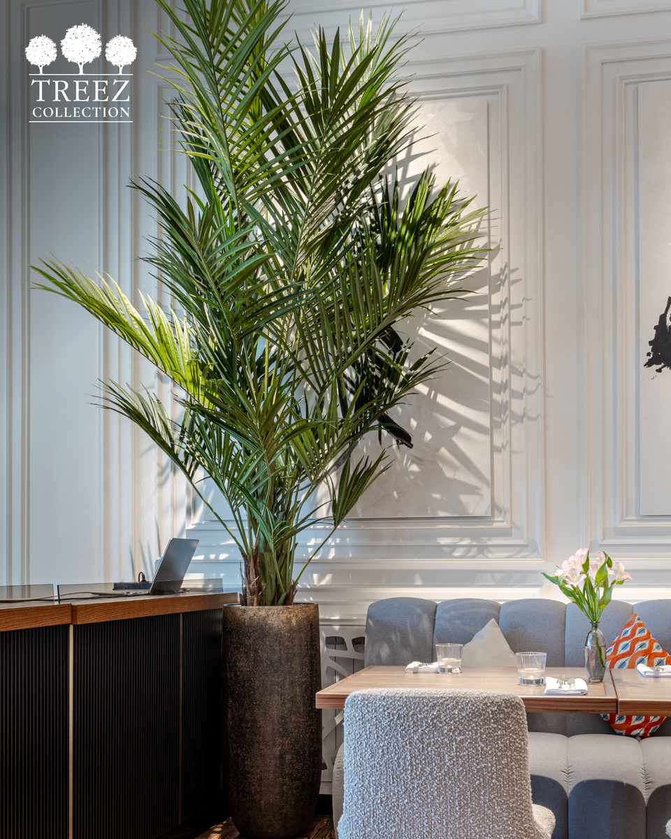 Кашпо и растения TREEZ Collection