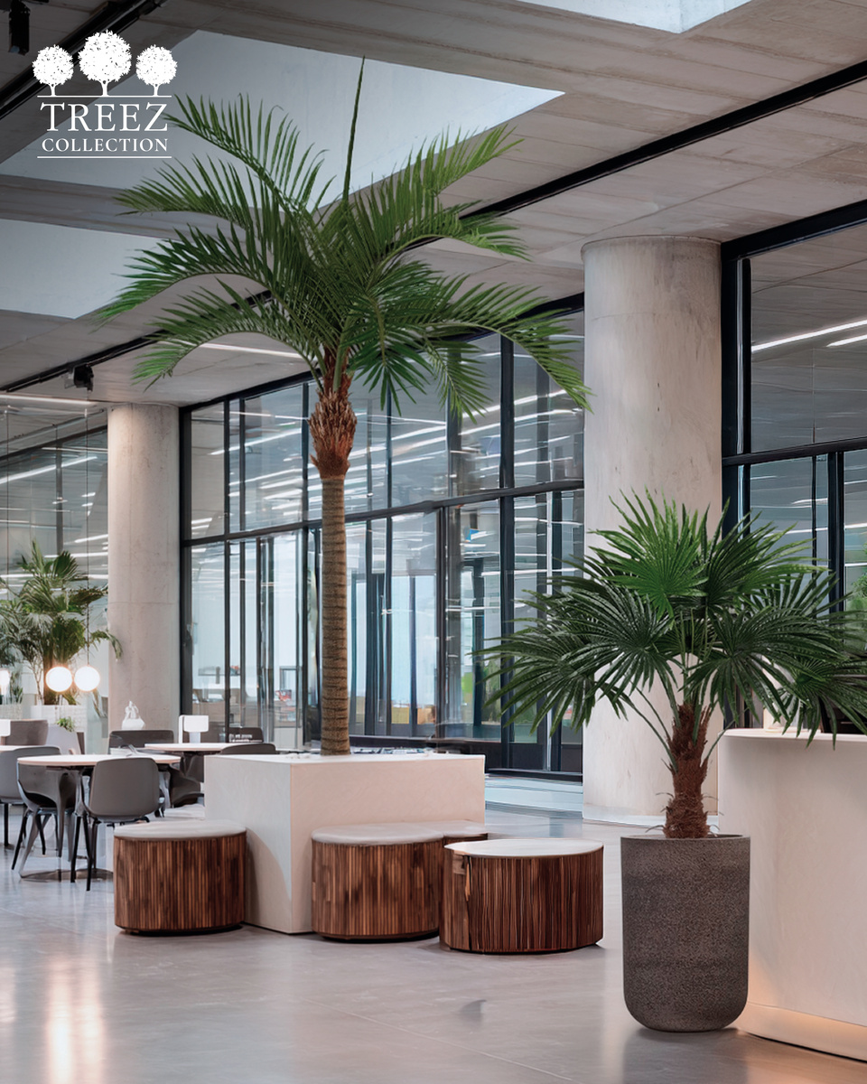 Кашпо и растения TREEZ Collection