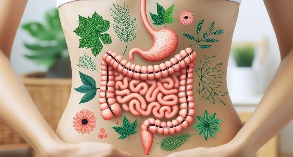 “Красота начинается в кишечнике: как метабиотики меняют наше представление о здоровье”