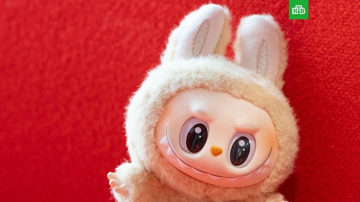    Фото: David Kristianto / unsplash.com