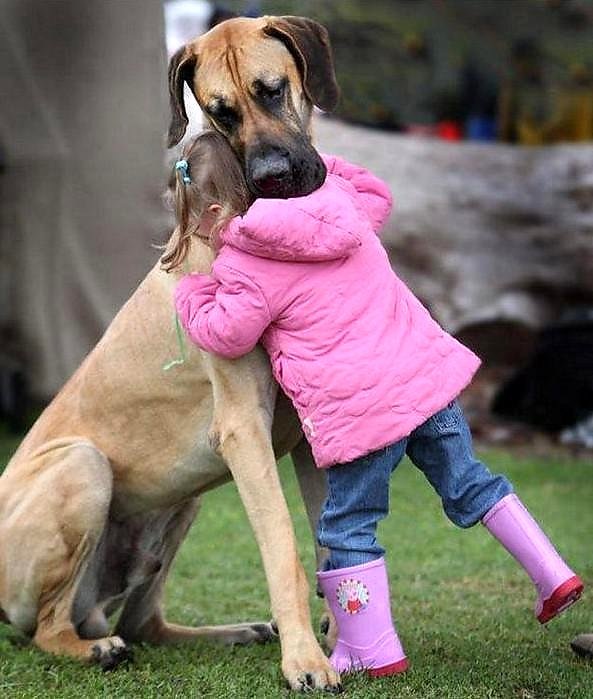 У меня большое горе!