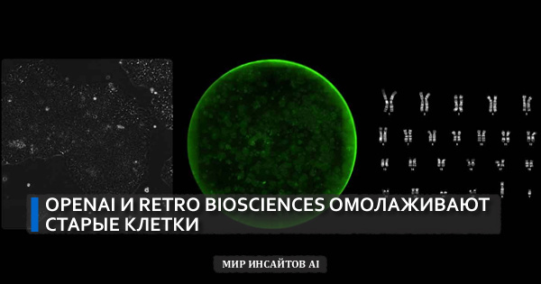 OpenAI и Retro Biosciences омолаживают старые клетки