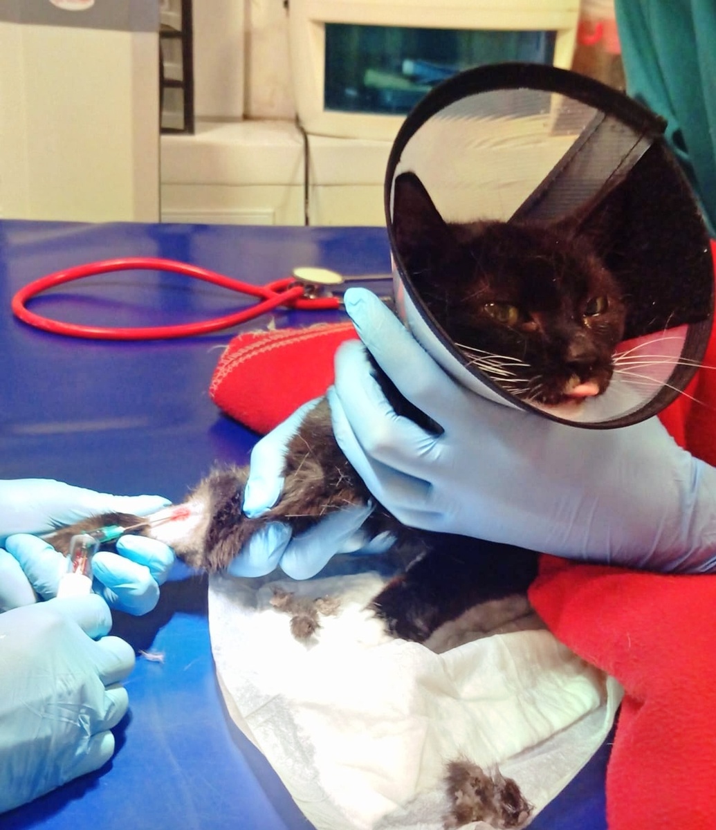 А Гриша кусалась и даже показала врачам язык