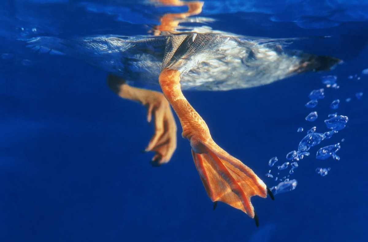 GK Hart/Vikki Hart/Getty Images