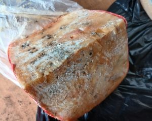 Фото: Уральское межрегиональное управление Россельхознадзора