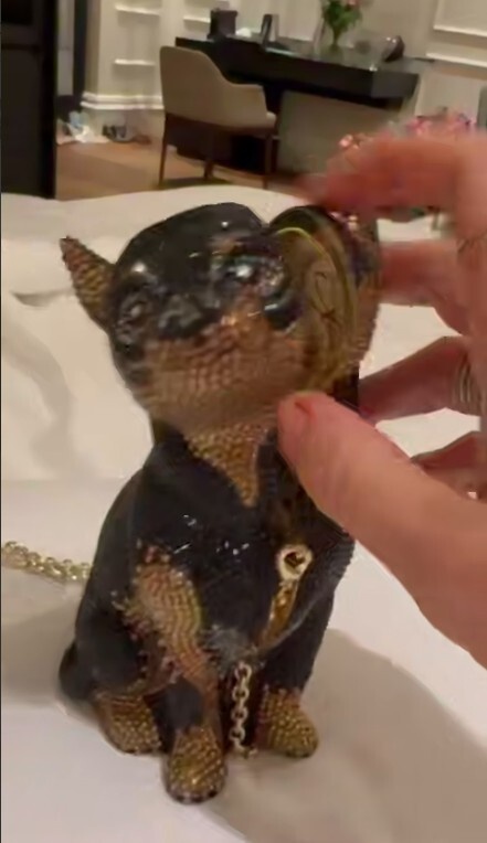    Сумка Рудковской. Фото: скрин