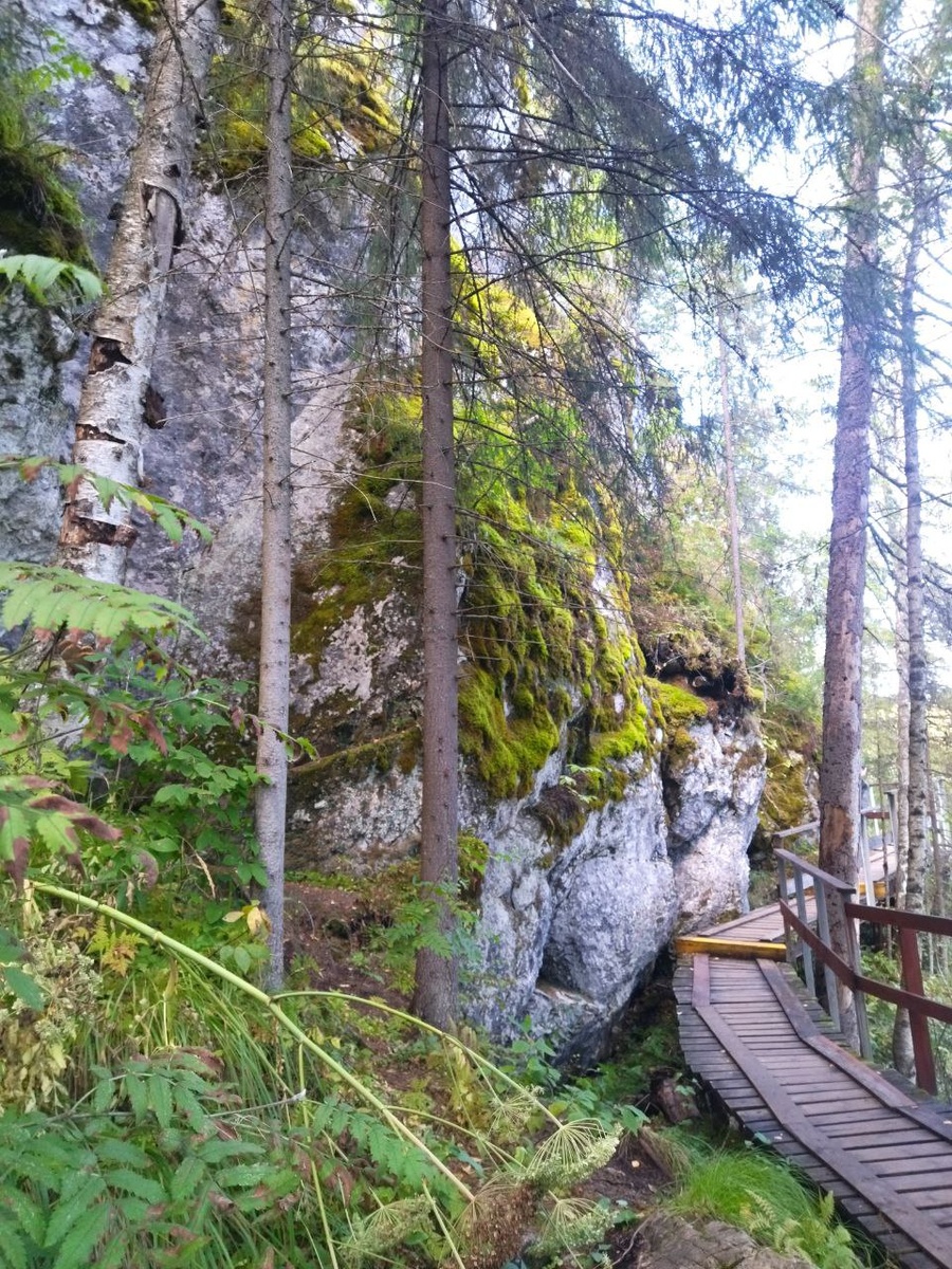 Парк "Оленьи ручьи"
