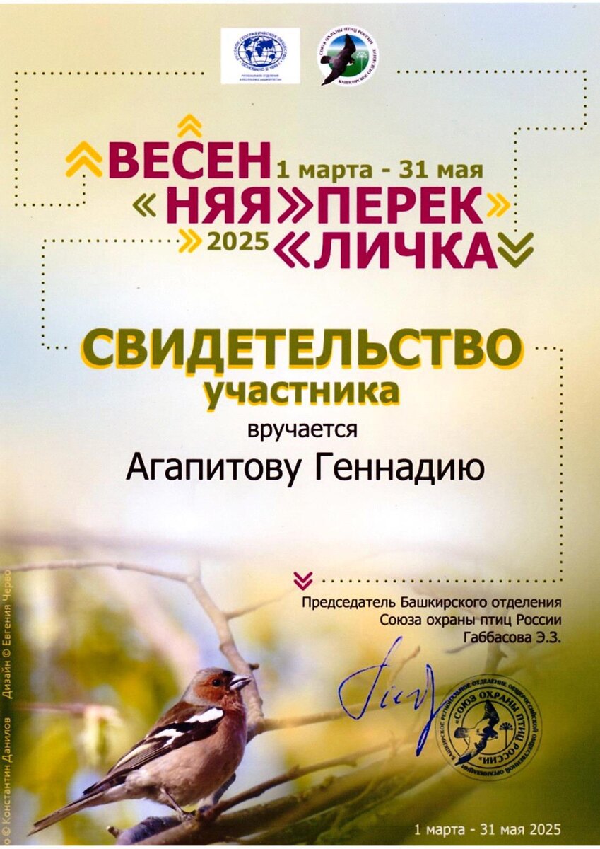 Если кто не знает или забыл, подскажу: с 1996 года орнитологи ежегодно начавшийся год посвящают какому-то виду птиц, наиболее нуждающемуся в данный момент в усилении его охраны. Под это дело обязательно подводится комплекс исследовательских и охранно-воспроизводственных мер с возможностью вовлечения в работу широких кругов любителей птиц.