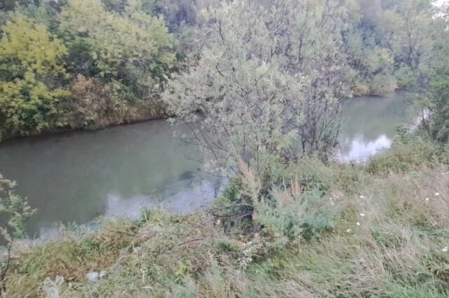    Водоём, куда подозреваемый сбросил тело. Фото: СУ СК по Алтайскому краю