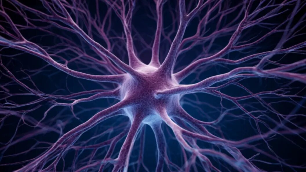    фото: коллаж Царьграда