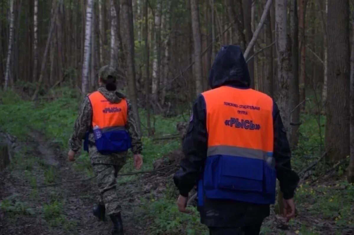    Нижегородские спасатели нашли пропавших в лесу супругов