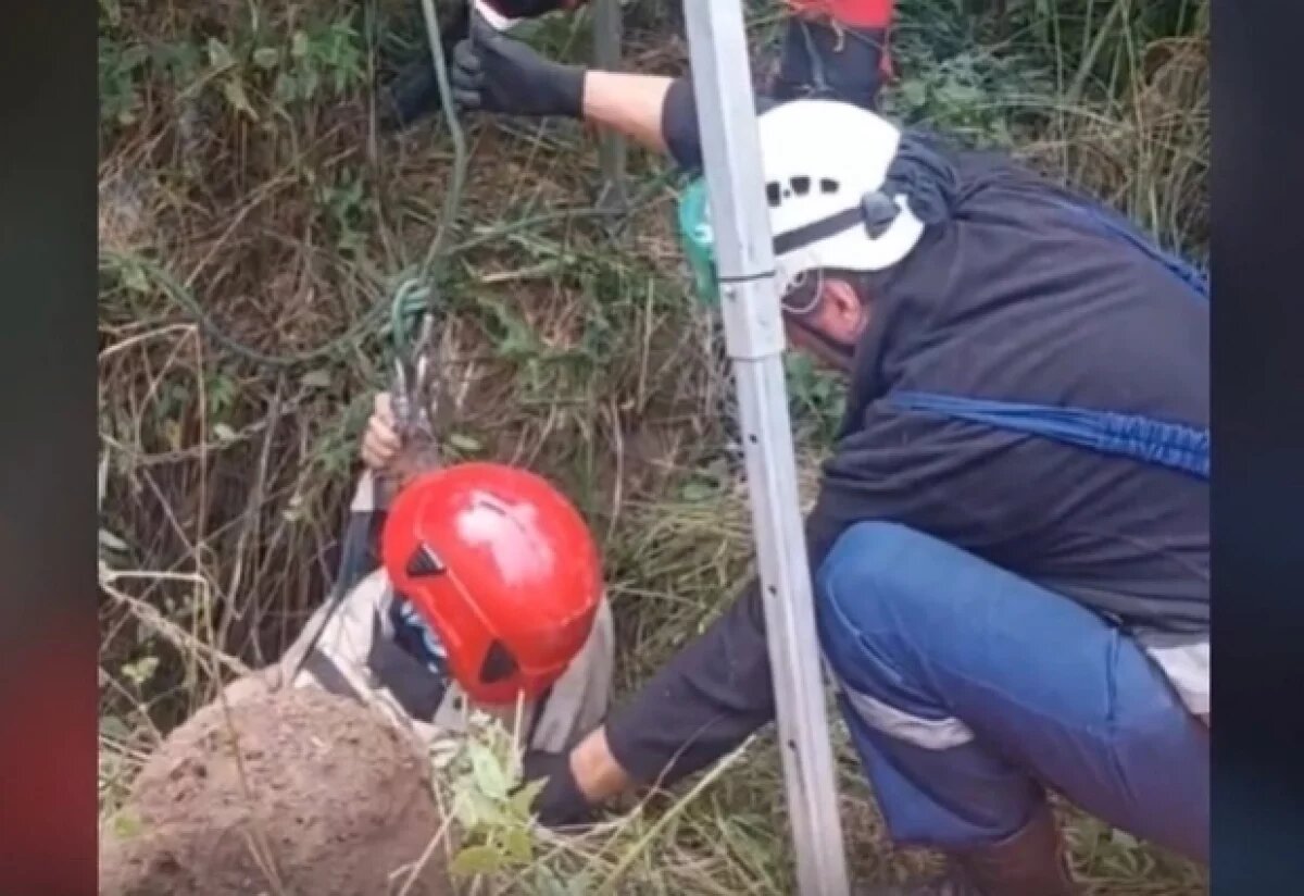    Шла за грибами.