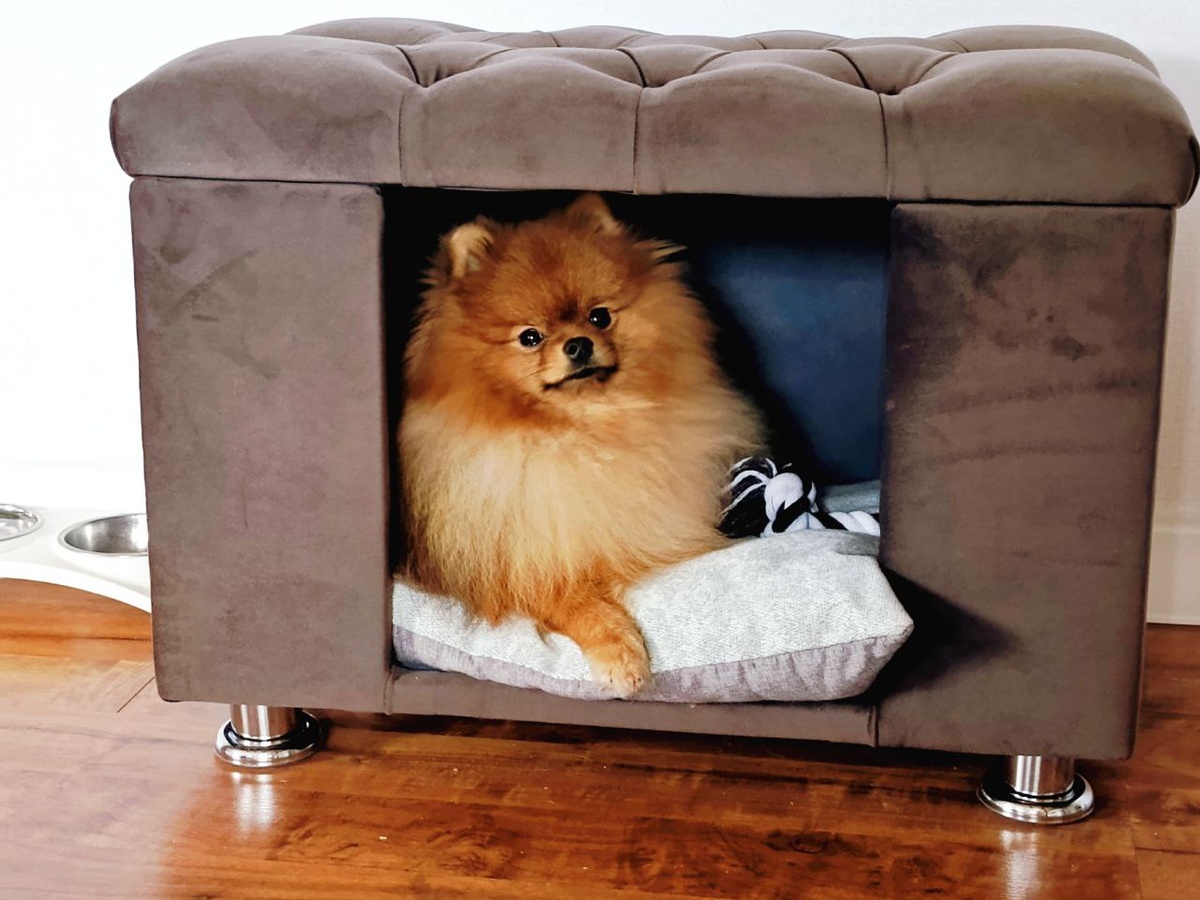 Май в домике-пуфике @ Надежда Билецкая