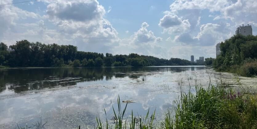 Фото: Мария Потокина