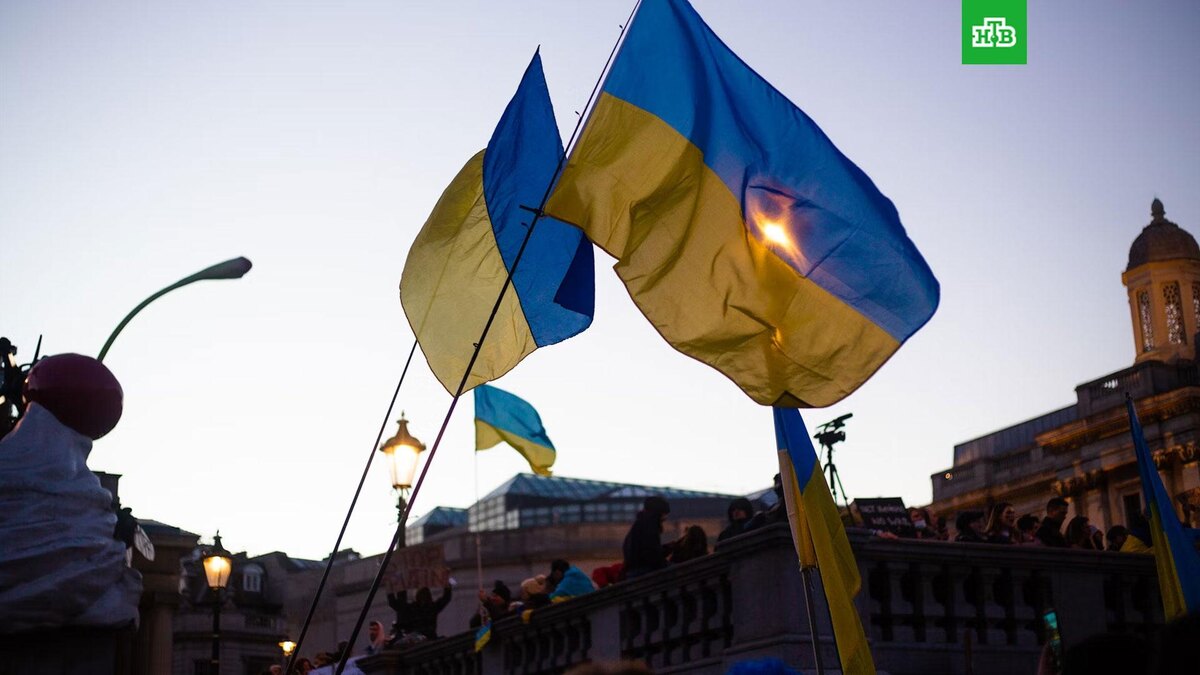    Фото: Karollyne Videira Hubert / unsplash.com