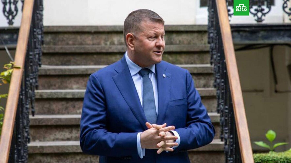    Фото: zaluzhnyj / t.me