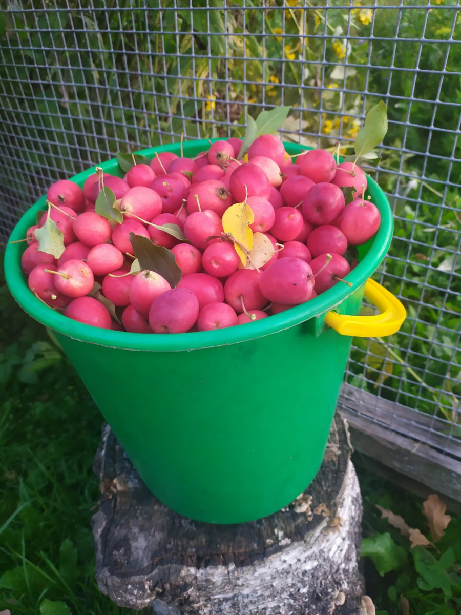 авторское фото © 